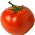 Без рассадный способ выращивания томата